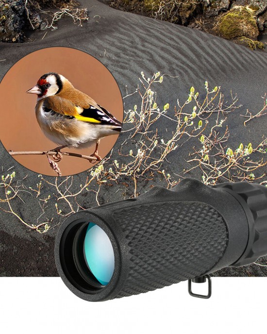 Monocular Telescope Birdwatching Eyepiece Mini Portable Handheld 10×25 Night Vision High Definition Scope